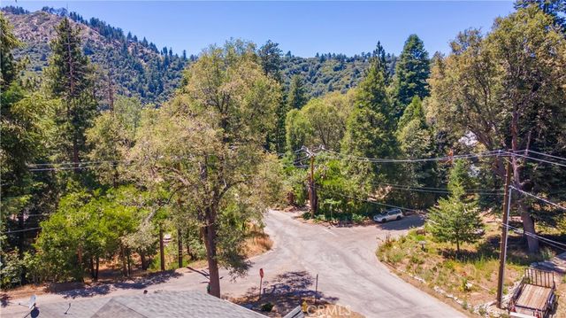 37667 Live Oak Street, Angelus Oaks, CA 92305