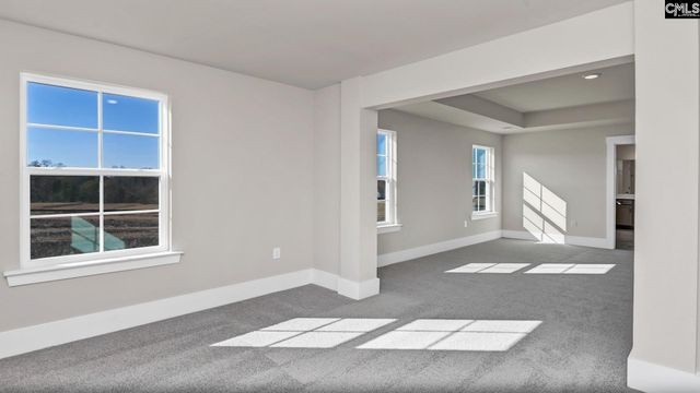 320 Still Shores Drive, Gilbert, SC 29054