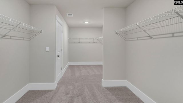 320 Still Shores Drive, Gilbert, SC 29054