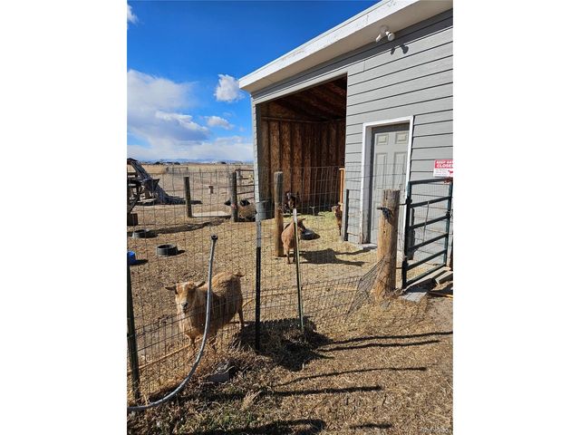 937 Snow Lake Ct, Watkins, CO 80137