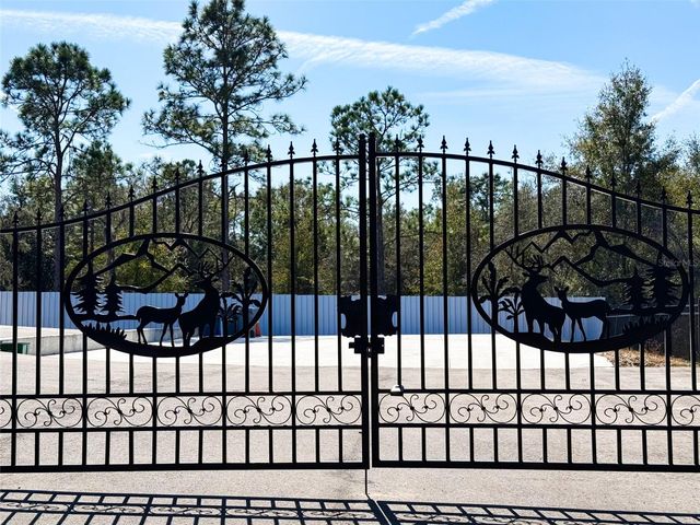 34370 RICHARDSON BOULEVARD, Webster, FL 33597