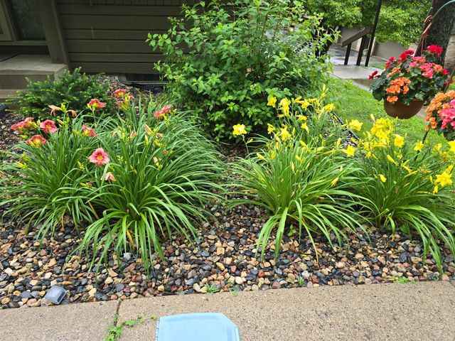 165 Birnamwood Drive, Burnsville, MN 55337