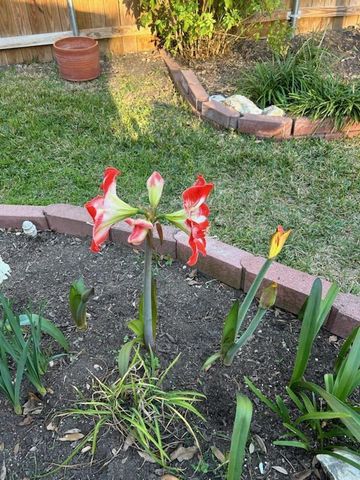 165 Birnamwood Drive, Burnsville, MN 55337