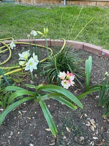 165 Birnamwood Drive, Burnsville, MN 55337