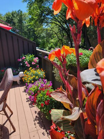 165 Birnamwood Drive, Burnsville, MN 55337