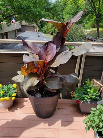 165 Birnamwood Drive, Burnsville, MN 55337