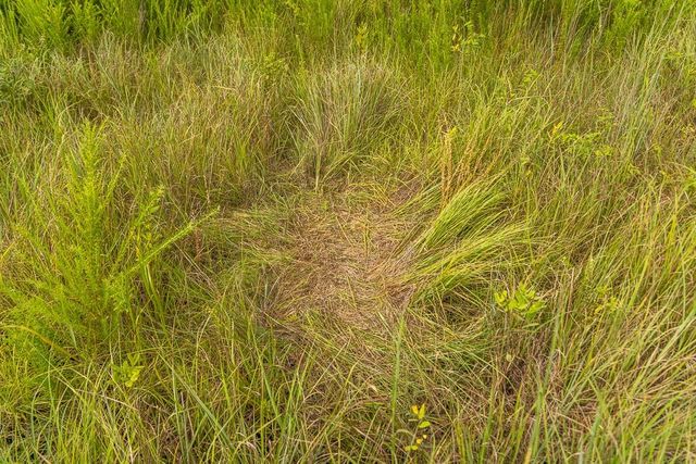 00000 Pflumm Road, Paola, KS 66071