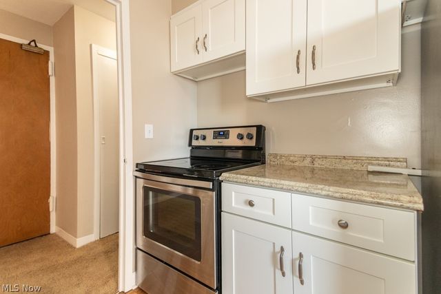 11850 Edgewater Drive 1002, Lakewood, OH 44107