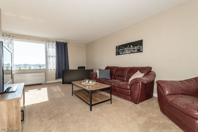 11850 Edgewater Drive 1002, Lakewood, OH 44107