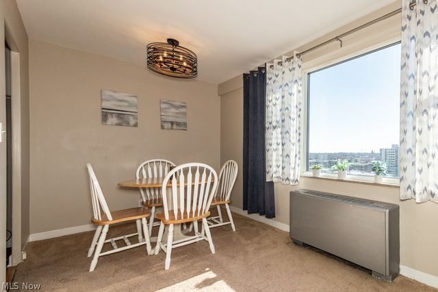 11850 Edgewater Drive 1002, Lakewood, OH 44107