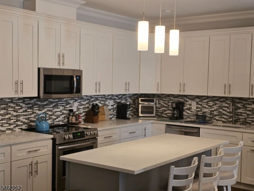 234 NO Branch River Rd Ondo, Branchburg Twp., NJ 08876 — photo 4