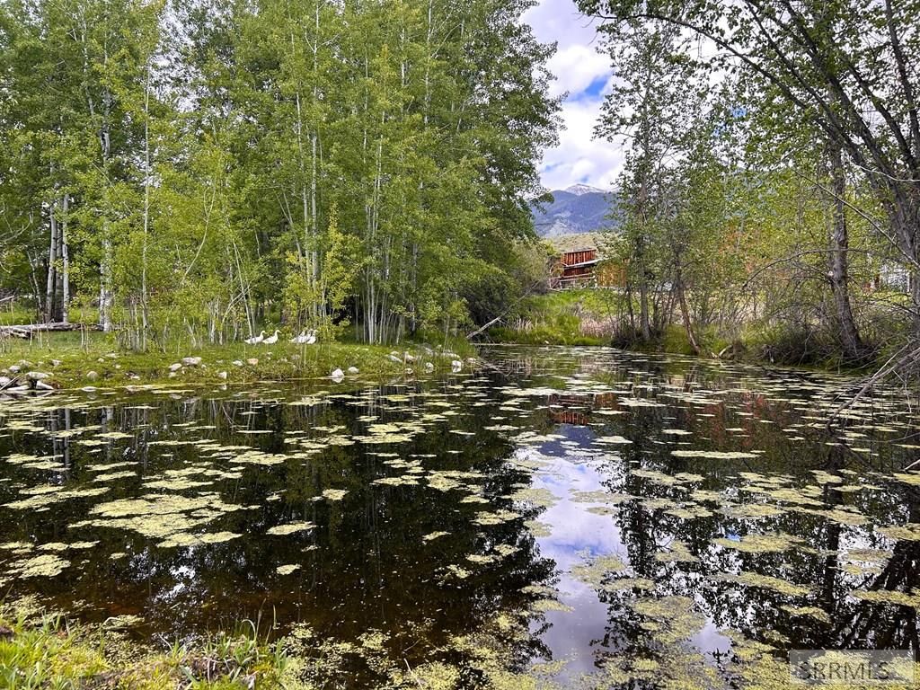 Image 44 of property listing at 504 Carmen Creek Road, Carmen, ID 83462