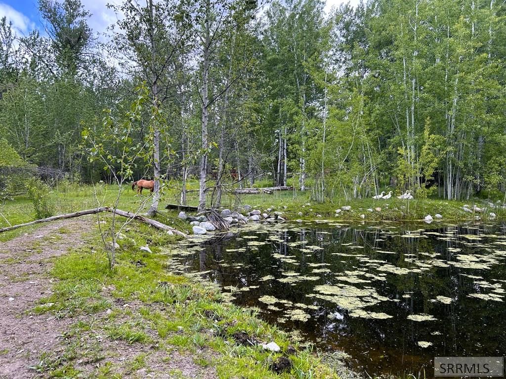 Image 45 of property listing at 504 Carmen Creek Road, Carmen, ID 83462