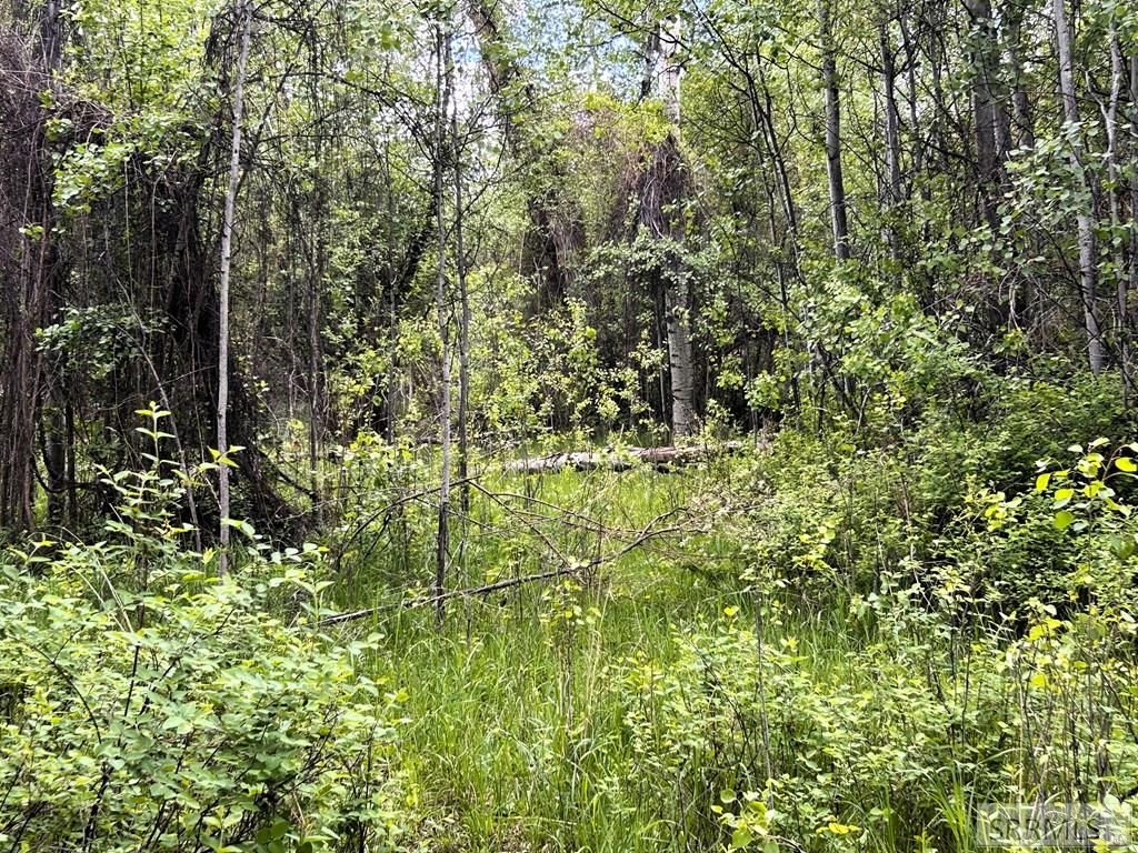 Image 47 of property listing at 504 Carmen Creek Road, Carmen, ID 83462