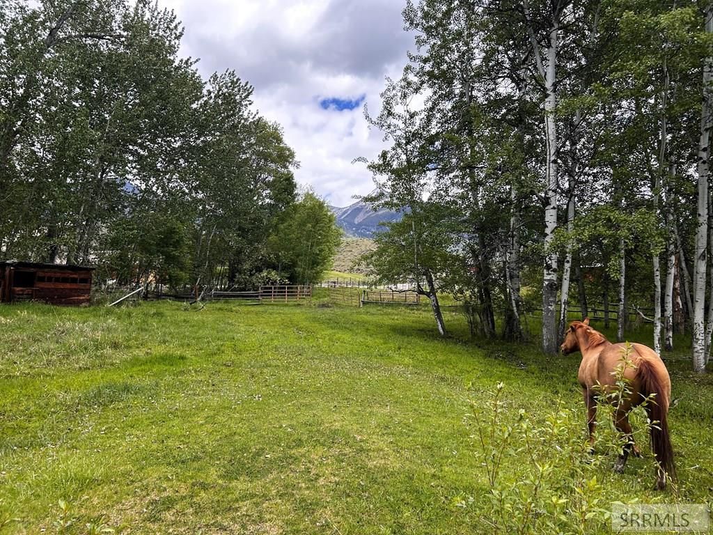 Image 50 of property listing at 504 Carmen Creek Road, Carmen, ID 83462