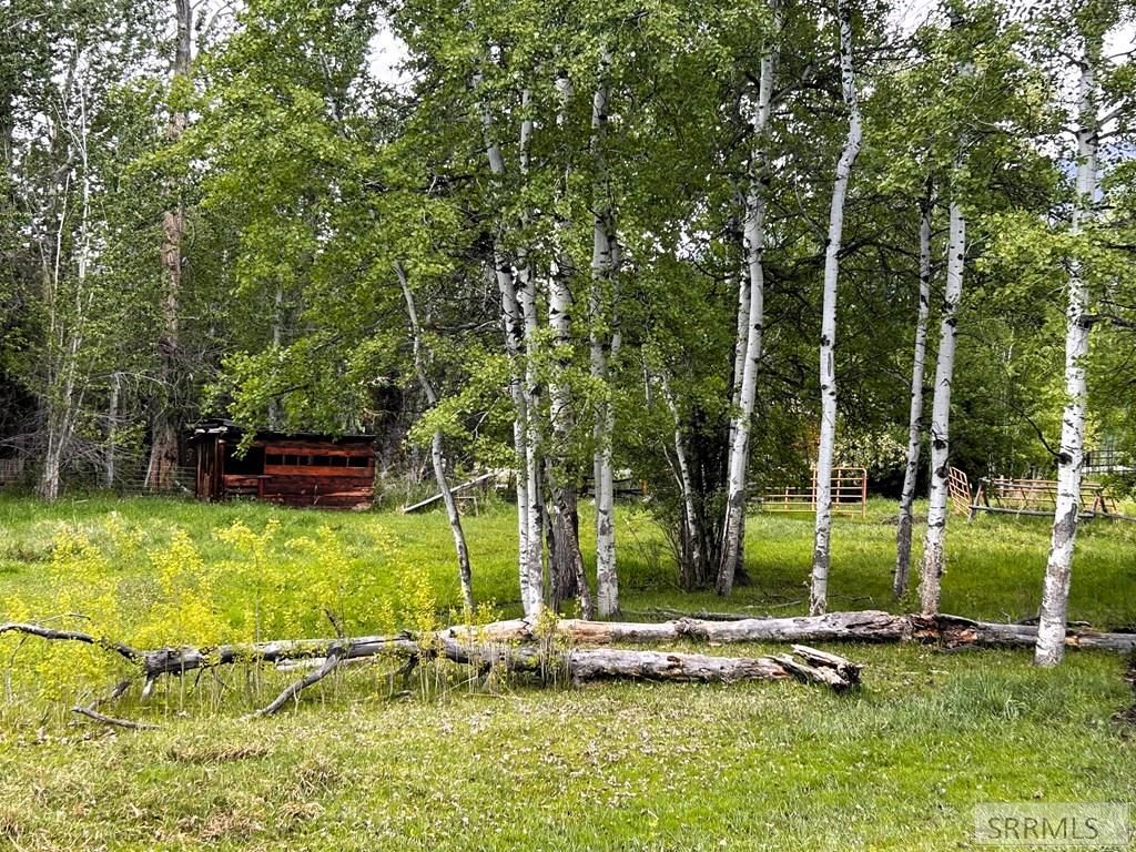 Image 54 of property listing at 504 Carmen Creek Road, Carmen, ID 83462