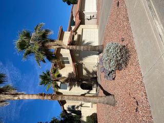 9828 S 44th Street, Phoenix, AZ 85044