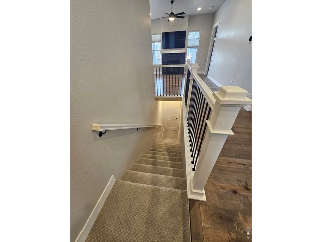 8493 Annapolis Dr, Windsor, CO 80528