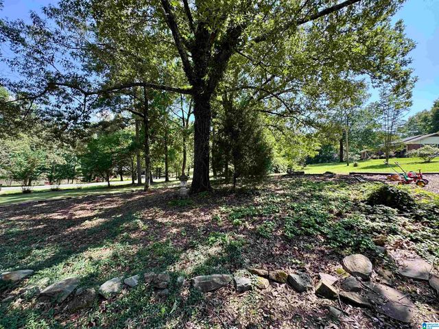 1371 SMOKERISE TRAIL, Warrior, AL 35180