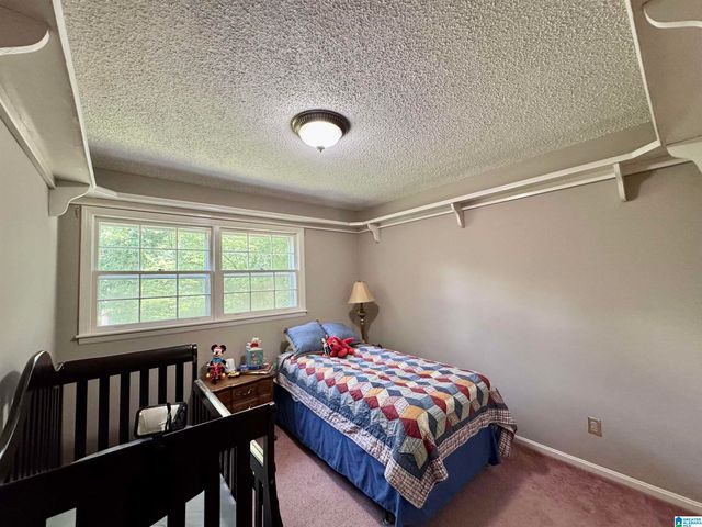 1371 SMOKERISE TRAIL, Warrior, AL 35180