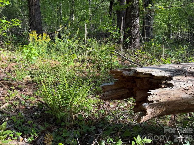 00000 Apple Farm Road, Bakersville, NC 28705