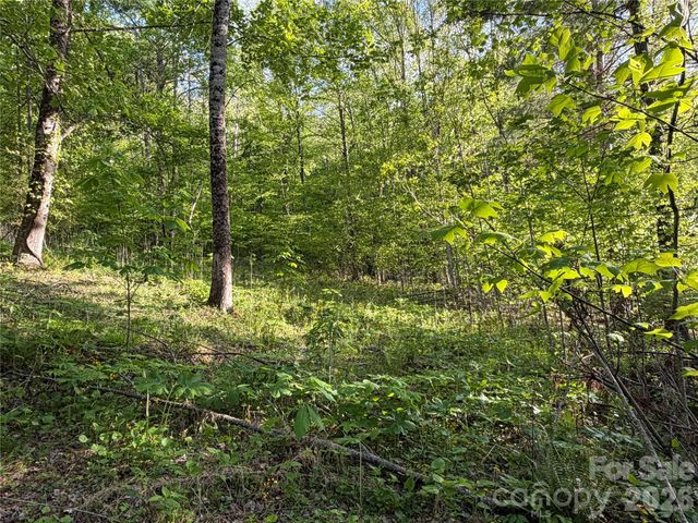 00000 Apple Farm Road, Bakersville, NC 28705