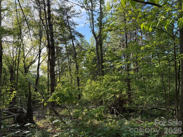 00000 Apple Farm Road, Bakersville, NC 28705