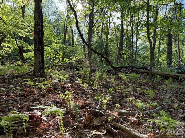 00000 Apple Farm Road, Bakersville, NC 28705