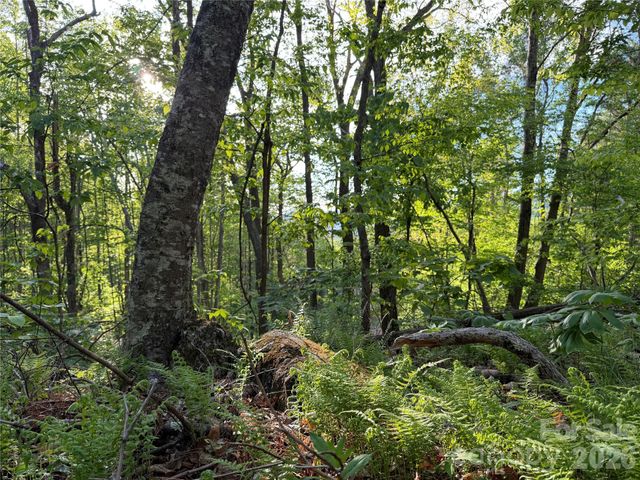 00000 Apple Farm Road, Bakersville, NC 28705