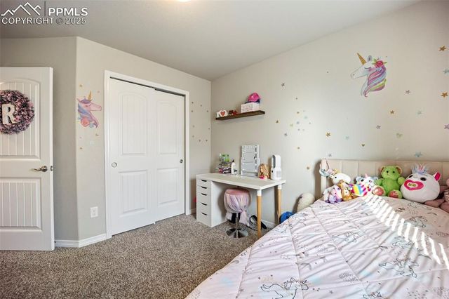 9949 Castor Drive, Colorado Springs, CO 80925