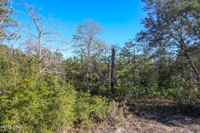 0 Stevens Road, Altha, FL 32421