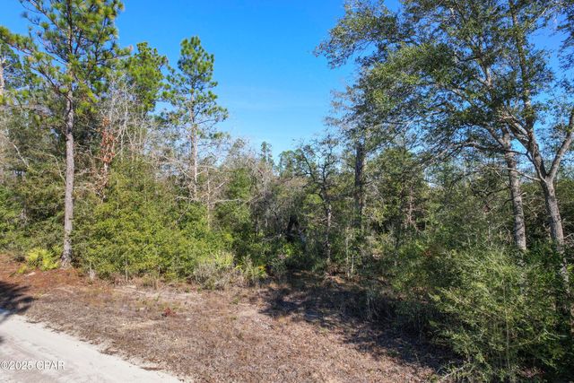 0 Stevens Road, Altha, FL 32421