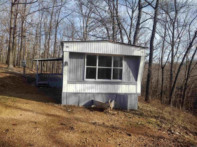 419 Foll LP, Mountain View, AR 72560