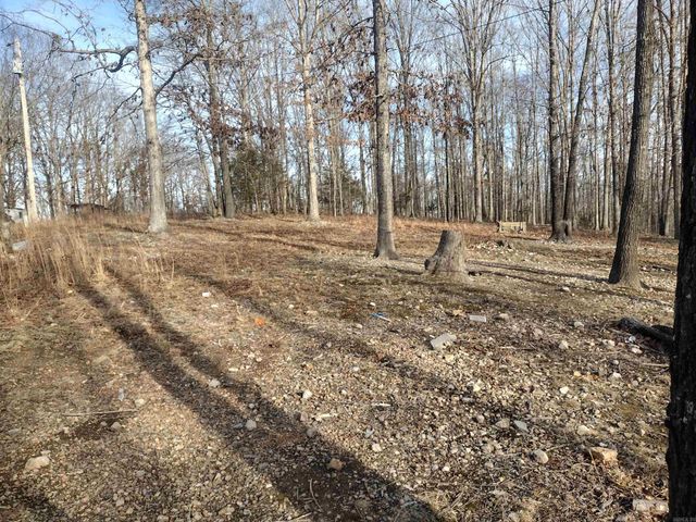 419 Foll LP, Mountain View, AR 72560