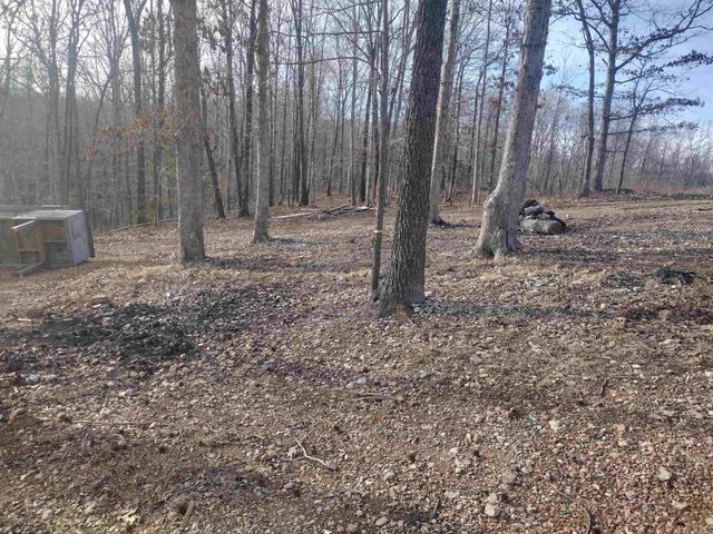 419 Foll LP, Mountain View, AR 72560