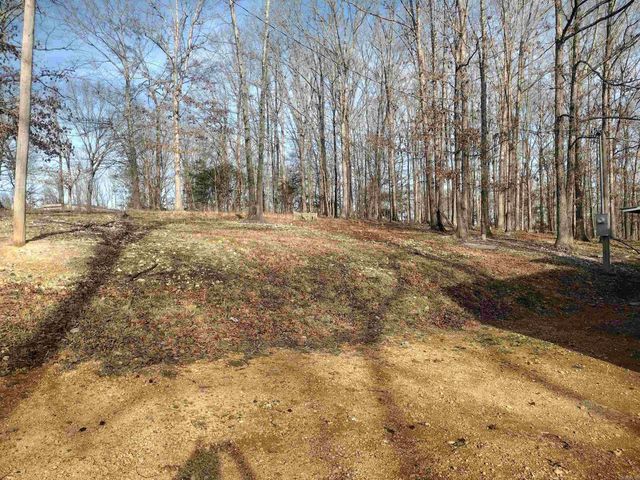 419 Foll LP, Mountain View, AR 72560