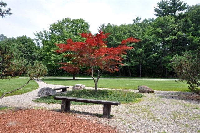 505 Tumbling Hawk 505, Acton, MA 01718