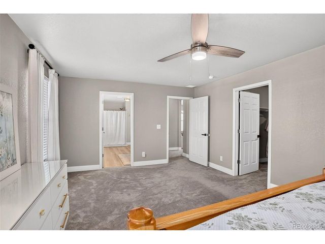 6259 Oak Grove St, Timnath, CO 80547