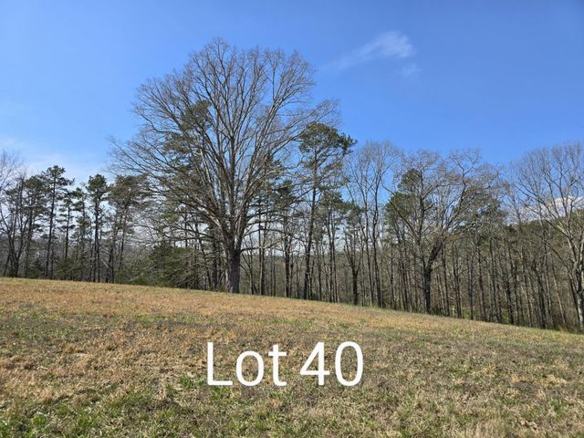 53035307 Bear Creek Road, Birchwood, TN 37308