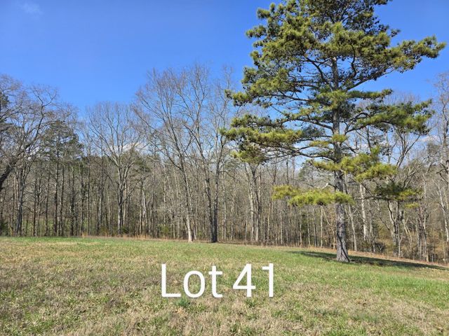 53035307 Bear Creek Road, Birchwood, TN 37308