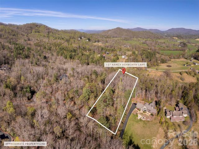 137 Nancy Ashworth Lane 13, Fairview, NC 28730
