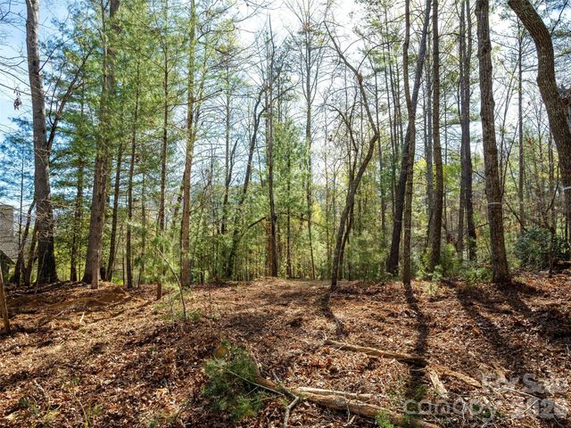 137 Nancy Ashworth Lane 13, Fairview, NC 28730