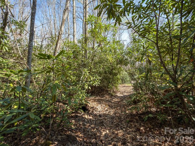 137 Nancy Ashworth Lane 13, Fairview, NC 28730