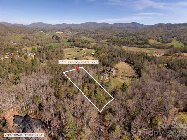 137 Nancy Ashworth Lane 13, Fairview, NC 28730