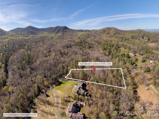 137 Nancy Ashworth Lane 13, Fairview, NC 28730