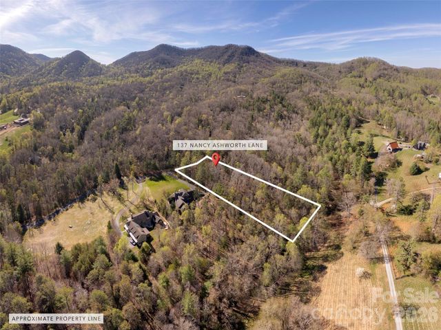 137 Nancy Ashworth Lane 13, Fairview, NC 28730