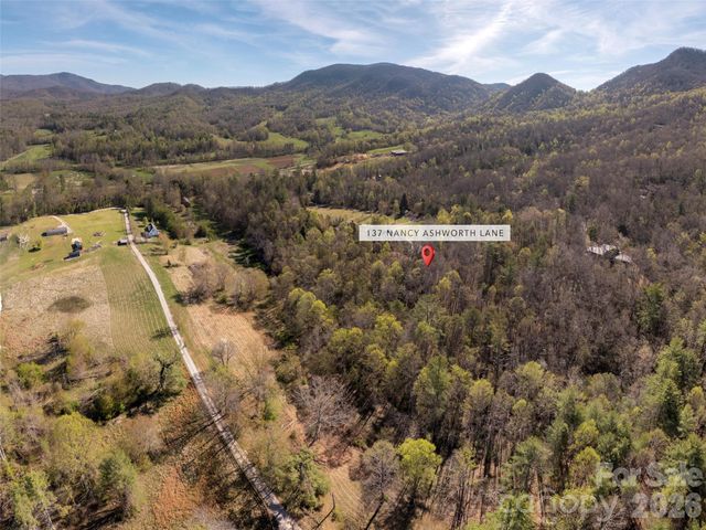 137 Nancy Ashworth Lane 13, Fairview, NC 28730