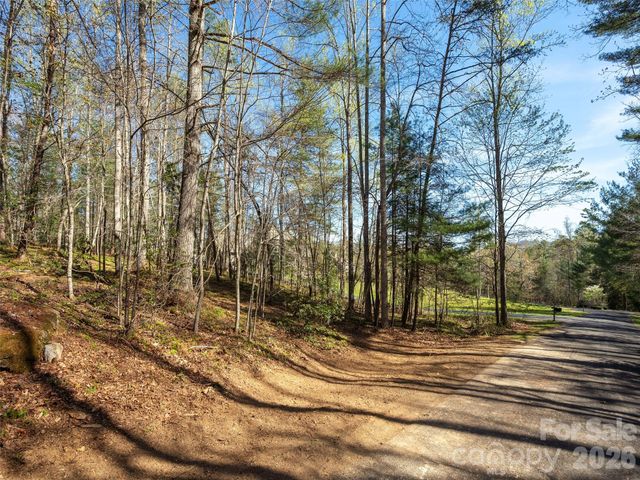 137 Nancy Ashworth Lane 13, Fairview, NC 28730