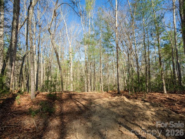 137 Nancy Ashworth Lane 13, Fairview, NC 28730