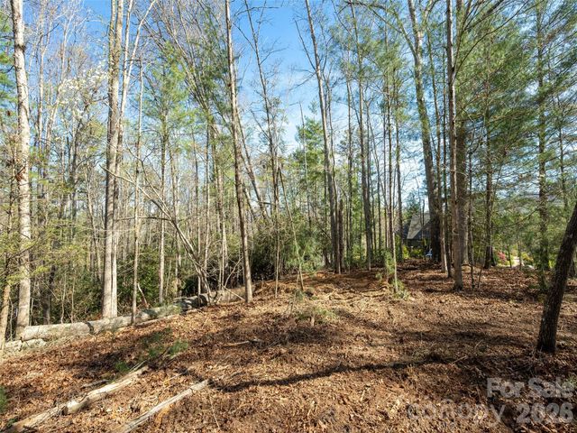 137 Nancy Ashworth Lane 13, Fairview, NC 28730